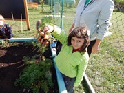 Sklízíme úrodu na zahrádce